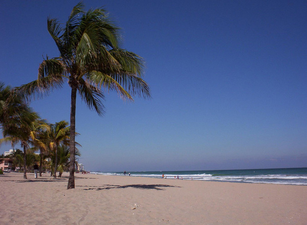 Wirtschaft in Florida: Tourismus, Handel und noch viel mehr!
